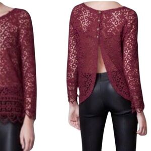 ZARA Woman Crochet Lace Open Back Sheer Top